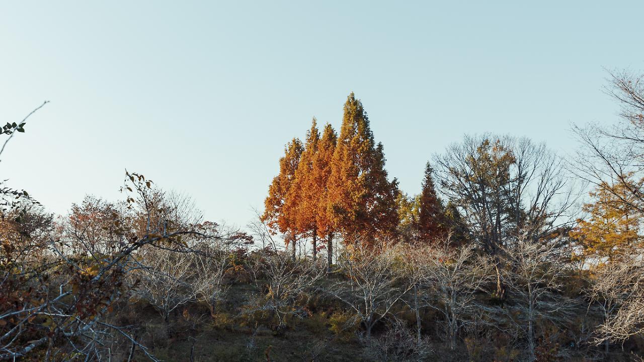 ホテル Fairfield By Marriott Tochigi Motegi エクステリア 写真